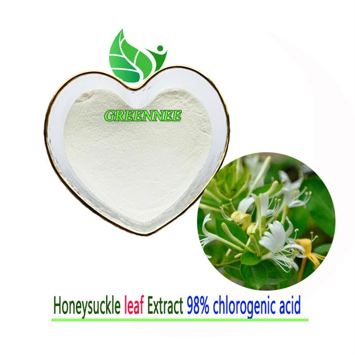 Chlorogenic Acid 25% 50% 98% /Lonicera Japonica Extract