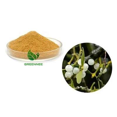 Herba Mistletoe Berwarna 10:1 Hingga 200:1