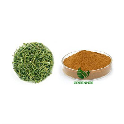 Polyphenol Ekstrak Teh Hijau 50% 90% 95% 98% (UV) CAS 476-66-4 